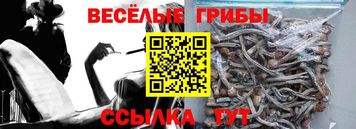 Галлюциногенные грибы ЛСД  Галлюциногенные грибы Psilocybine cubensis  Кушва  Вход с VPN 
